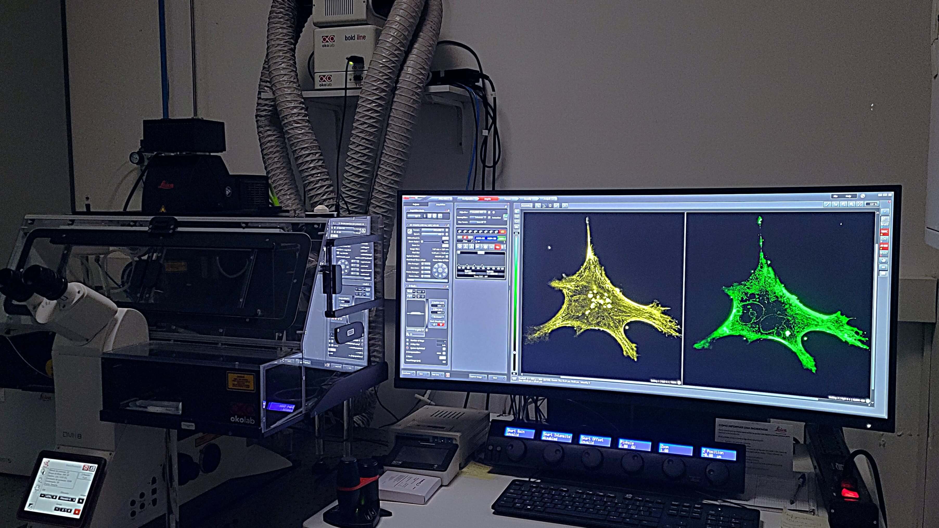 confocal