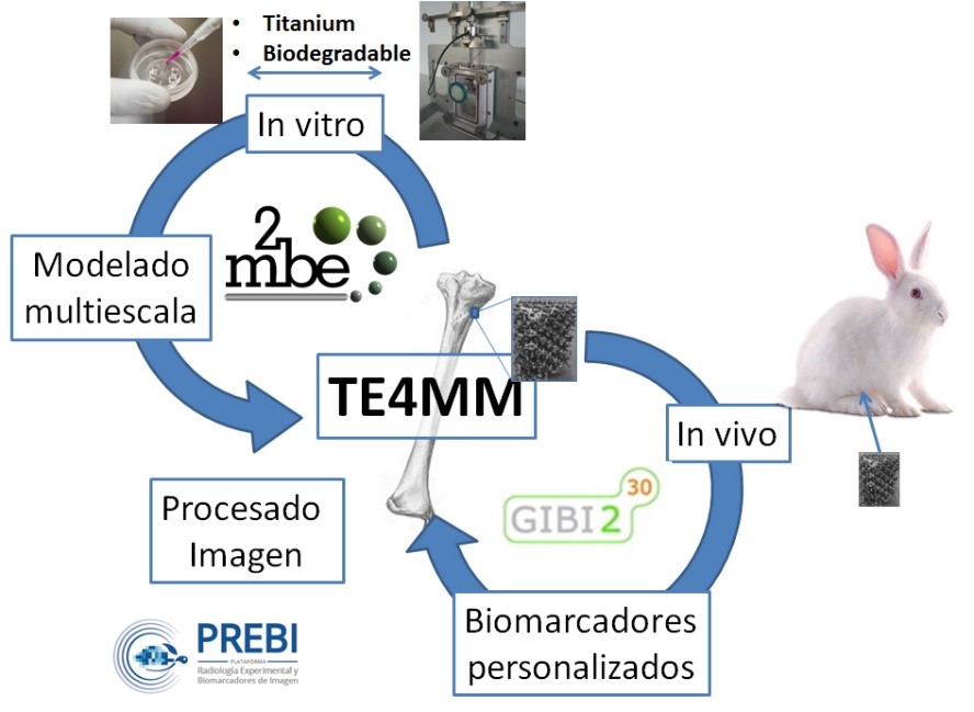 foto_proyecto_TE4MM