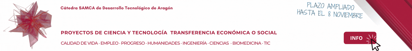 19 becas
